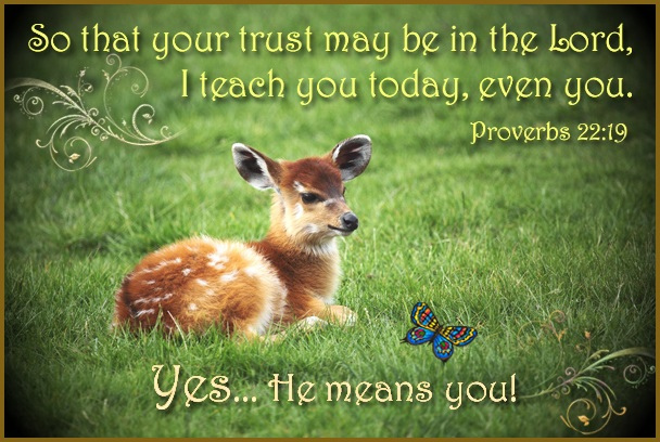 Bible verse plus a baby deer laying in the grass - overcoming life's obstacles.